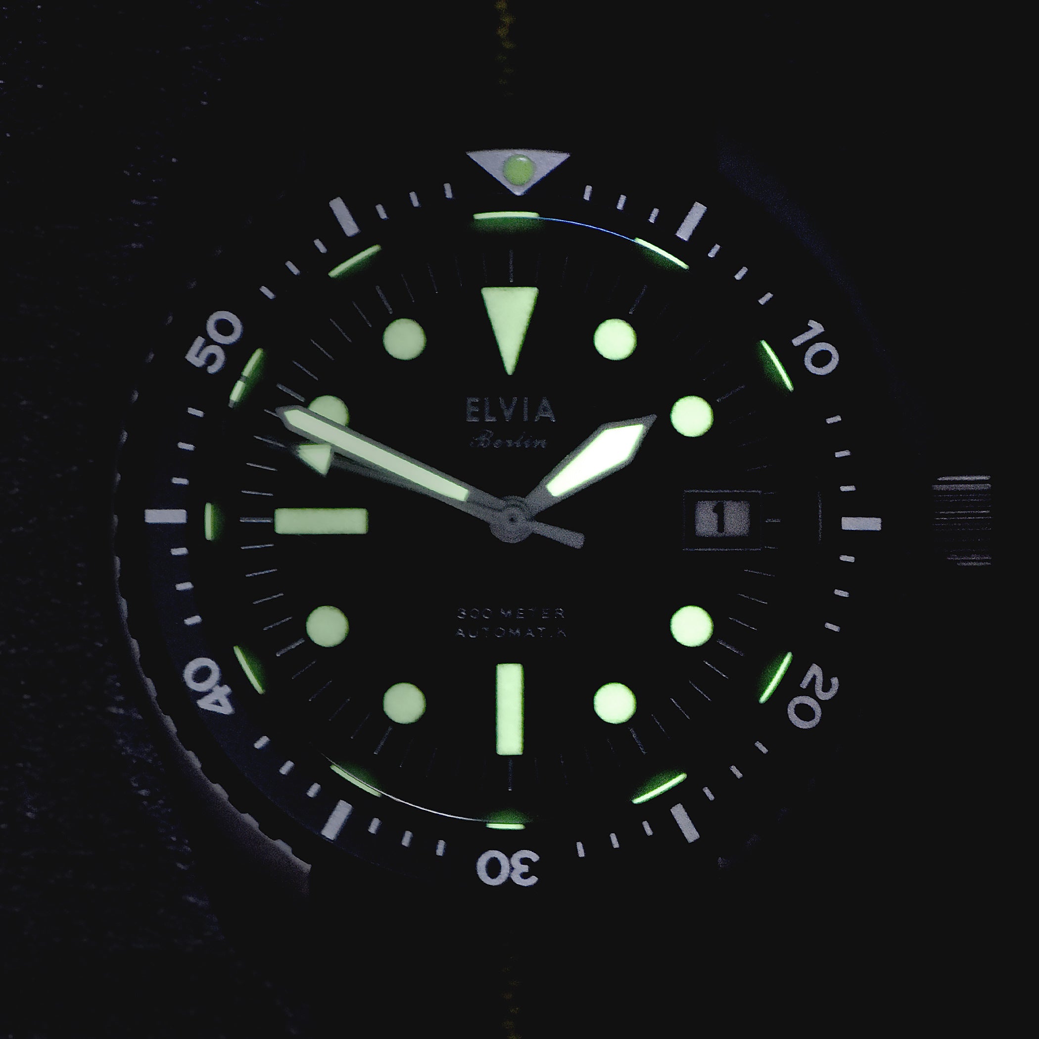 ELVIA Automatic Military Divers Watch with Sapphire Crystal and 24 Jewel Automatic Day Date Movement